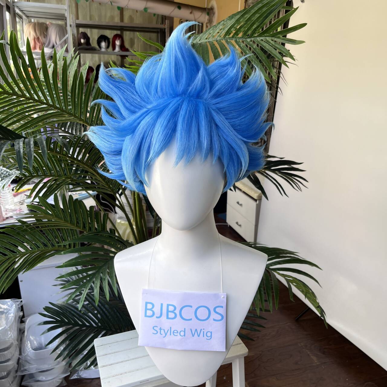[Styled Wig]Ortho Cosplay Wig  - Men Accessories Korea 评论和价格